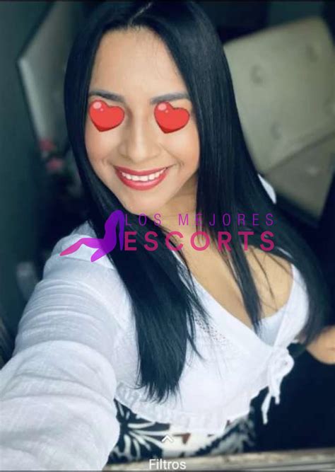 sexo guipuzcoa|Putas y escorts en Gipuzkoa 